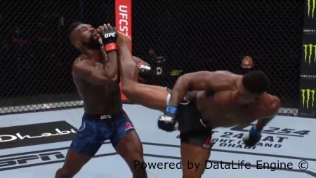 UFC Fight Night 291: Бакли vs Мэлотт смотреть онлайн все бои - бесплатно (17.10.2026)
